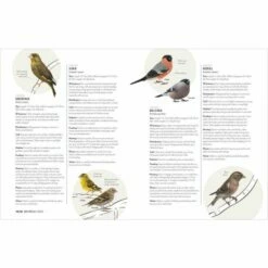 How To Attract Birds To Your Garden Book 9 How To Attract Birds To Your Garden Book -birds Shop book2