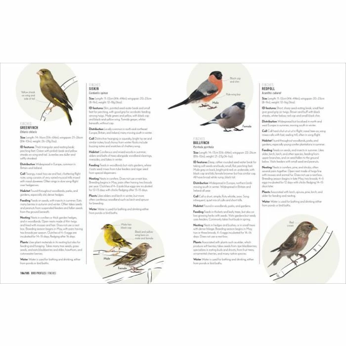 How To Attract Birds To Your Garden Book 5 How To Attract Birds To Your Garden Book - Image 5
