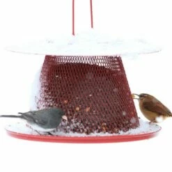 Perky-Pet® Red Cardinal Wild Bird Feeder -birds Shop c00322 d 5