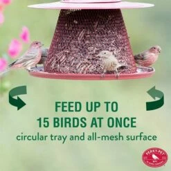 Perky-Pet® Red Cardinal Wild Bird Feeder -birds Shop c00322 info1 698