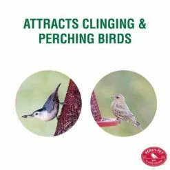Perky-Pet® Red Cardinal Wild Bird Feeder -birds Shop c00322 info2 698