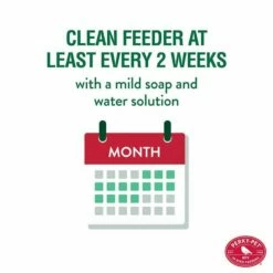 Perky-Pet® Red Cardinal Wild Bird Feeder -birds Shop c00322 info6 698