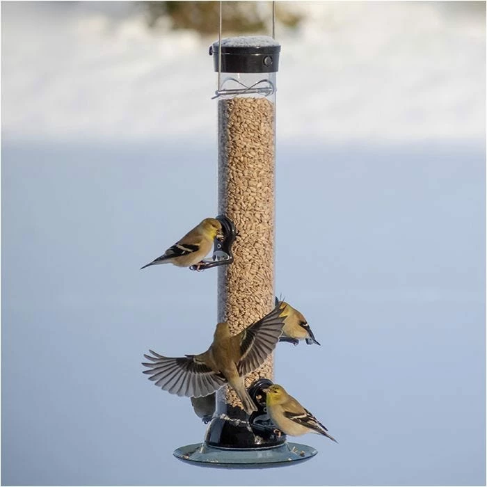 Droll Yankees® Onyx Clever Clean & Fill® Sunflower Tube Bird Feeder - 2 Lb 1 Droll Yankees® Onyx Clever Clean & Fill® Sunflower Tube Bird Feeder - 2 Lb