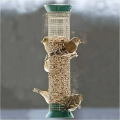 Droll Yankees® New Generation® Peanut Bird Feeder, Green - 1 Lb