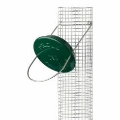 Droll Yankees® New Generation® Peanut Bird Feeder, Green - 1 Lb -birds Shop cjm13gp 4 in use
