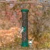 Droll Yankees® New Generation® Sunflower/Mixed Seed Tube Bird Feeder - 1 Lb