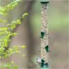 Droll Yankees® New Generation® Sunflower/Mixed Seed Tube Bird Feeder - 2 Lb