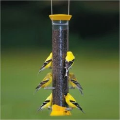 Droll Yankees® New Generation® Tube Finch Feeder - 1 Lb