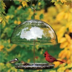 Droll Yankees® Dorothy's Cardinal Platform Bird Feeder With Adjustable Dome - 1 Lb