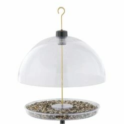 Droll Yankees® Dorothy's Cardinal Platform Bird Feeder With Adjustable Dome - 1 Lb -birds Shop dcf 4 in use