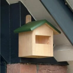 Ecuador Half-Open Nest Box