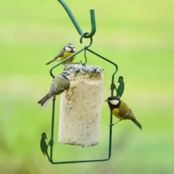 National Trust Seed Peanut Cake (1 Litre) -birds Shop energiekuchen mit saatkoernern 10040 4