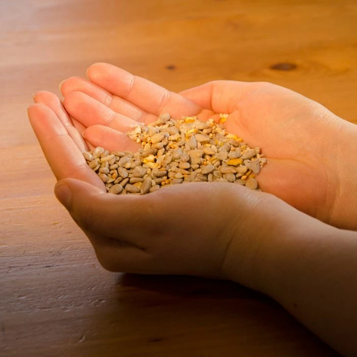 Hi-Energy No Mess Bird Seed Mix 2 Hi-Energy No Mess Bird Seed Mix - Image 2