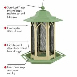 Perky-Pet® Pistachio Gazebo Feeder -birds Shop gaz01 d 2