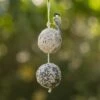 Giant Fat Balls On A Rope - Duo