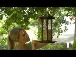 Perky-Pet® Mountain Chapel Bird Feeder -birds Shop hqdefault 11 30