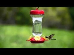Perky-Pet® Yellow Petunia Top Fill Glass Hummingbird Feeder -birds Shop hqdefault 11 33