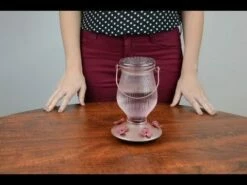 Perky-Pet® Cactus Top-Fill Hummingbird Feeder -birds Shop hqdefault 11 40