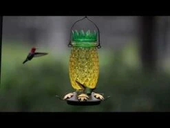 Perky-Pet® Pineapple Top-Fill Hummingbird Feeder 35 Perky-Pet® Pineapple Top-Fill Hummingbird Feeder -birds Shop hqdefault 16 1