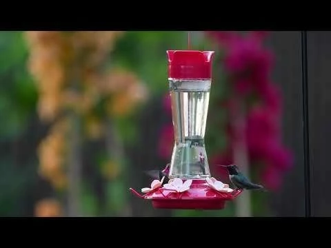 Perky-Pet® Top-Fill Pinch-Waist Glass Hummingbird Feeder - 12 Oz Nectar Capacity 20 Perky-Pet® Top-Fill Pinch-Waist Glass Hummingbird Feeder - 12 Oz Nectar Capacity - Image 20