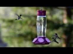 Perky-Pet® Top-Fill Hummer's Favorite Glass Hummingbird Feeder -birds Shop hqdefault 16 5