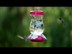 Perky-Pet® Pink Top-Fill Glass Hummingbird Feeder 23 Perky-Pet® Pink Top-Fill Glass Hummingbird Feeder -birds Shop hqdefault 16 7
