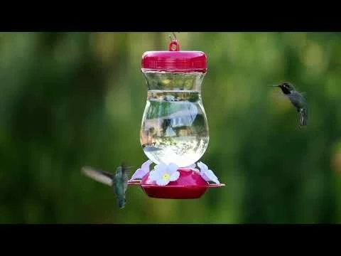 Perky-Pet® Pink Top-Fill Glass Hummingbird Feeder 12 Perky-Pet® Pink Top-Fill Glass Hummingbird Feeder - Image 12
