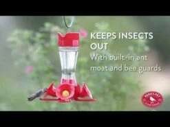 Perky-Pet® Pinch-Waist Glass Hummingbird Feeder - 8 Oz Nectar Capacity 14 Perky-Pet® Pinch-Waist Glass Hummingbird Feeder - 8 Oz Nectar Capacity -birds Shop hqdefault 28