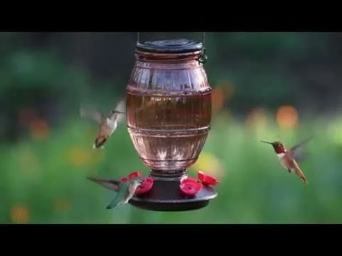 Perky-Pet® Prohibition Top-Fill Glass Hummingbird Feeder 15 Perky-Pet® Prohibition Top-Fill Glass Hummingbird Feeder - Image 15