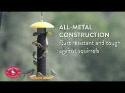 Perky-Pet® Straight-Sided Finch Tube Feeder -birds Shop hqdefault 31