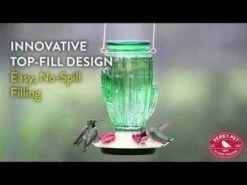 Perky-Pet® Cactus Top-Fill Hummingbird Feeder -birds Shop hqdefault 38 18