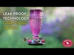 Perky-Pet® Diamond Wine Top-Fill Glass Hummingbird Feeder -birds Shop hqdefault 39 5