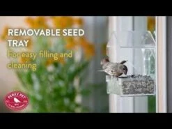 Perky-Pet® Dual-Seed Window Bird Feeder - 1 Lb Seed Capacity 22 Perky-Pet® Dual-Seed Window Bird Feeder - 1 Lb Seed Capacity -birds Shop hqdefault 55