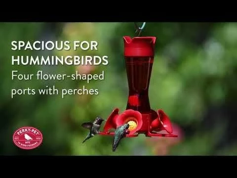 Perky-Pet® Pinch-Waist Red Glass Hummingbird Feeder - 8 Oz Nectar Capacity 2 Perky-Pet® Pinch-Waist Red Glass Hummingbird Feeder - 8 Oz Nectar Capacity - Image 2
