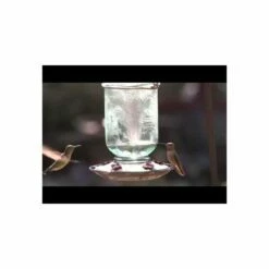 More Birds® Mason Jar Glass Hummingbird Feeder - 25 Oz -birds Shop hqdefault 67