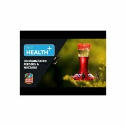 More Birds® Bird Health Prestige Glass Hummingbird Feeder - 13 Oz 12 More Birds® Bird Health Prestige Glass Hummingbird Feeder - 13 Oz -birds Shop hqdefault 69