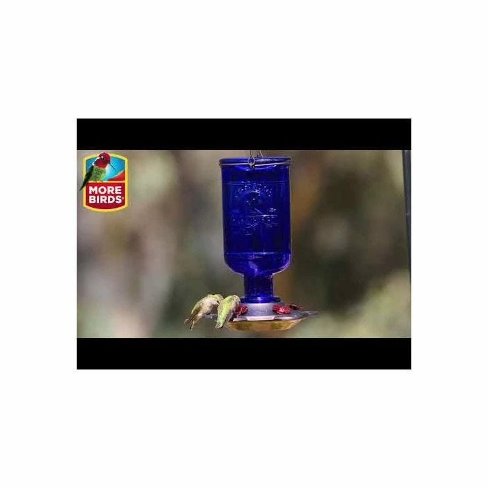 More Birds® Elixir Glass Hummingbird Feeder - 13 Oz - Blue 6 More Birds® Elixir Glass Hummingbird Feeder - 13 Oz - Blue - Image 6