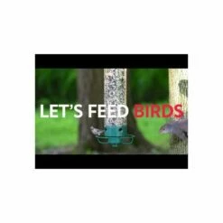 Droll Yankees® Yankee Flipper® Squirrel-Proof Bird Feeder - 5 Lb -birds Shop hqdefault 70 39