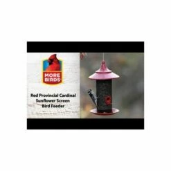 More Birds® Red Provincial Cardinal Screen Bird Feeder - 2.8 Lb -birds Shop hqdefault 70 8