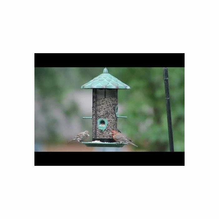 More Birds® Acorn Screen Bird Feeder - 2.8 Lb 6 More Birds® Acorn Screen Bird Feeder - 2.8 Lb - Image 6