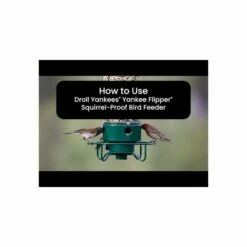 Droll Yankees® Yankee Flipper® Squirrel-Proof Bird Feeder - 5 Lb -birds Shop hqdefault 75 1