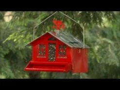 Perky-Pet® Squirrel-Be-Gone II Country House Wild Bird Feeder -birds Shop hqdefault 8 3