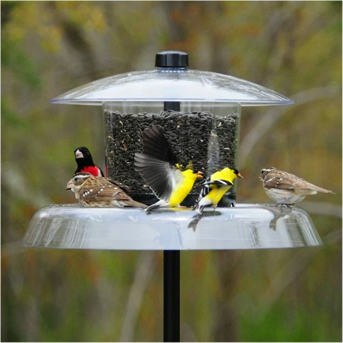 Droll Yankees® Jagunda® Squirrel-Proof Bird Feeder With Auger - 6 Lb 1 Droll Yankees® Jagunda® Squirrel-Proof Bird Feeder With Auger - 6 Lb