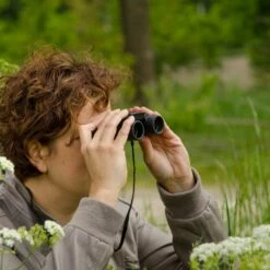 Vivara Binoculars Limosa 8x21 -birds Shop limosa