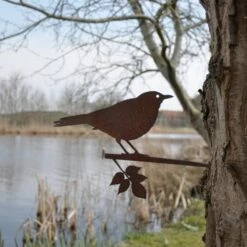 Metal Bird BlackBird