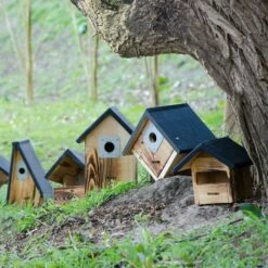 Vernon 28mm Nest Box 9 Vernon 28mm Nest Box -birds Shop nestbox wood 90760 90763 90765 1