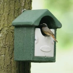 WoodStone® Barcelona Open Nest Box (Green)