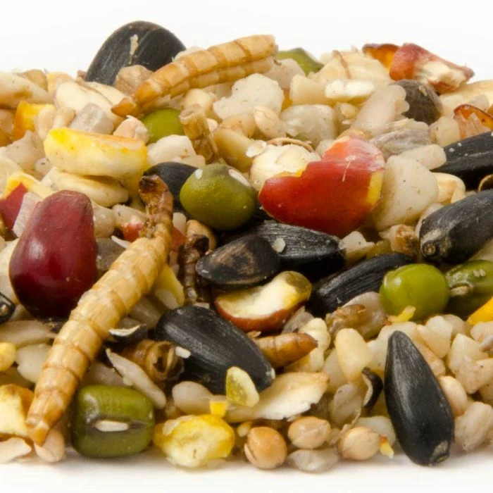 Vitality Bird Seed Mix 2 Vitality Bird Seed Mix - Image 2