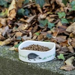 Premium Hedgehog Food -birds Shop premium hedgehog food 190340120 938430119 jvg 2433 2 1