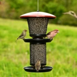 Perky-Pet® Multi-Seed Wild Bird Feeder